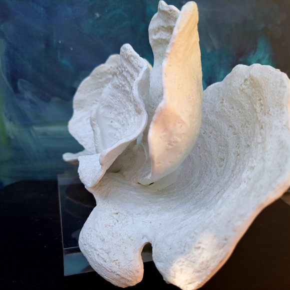 Faux white Coral Decor on Acrylic Base - Picture 3 of 10